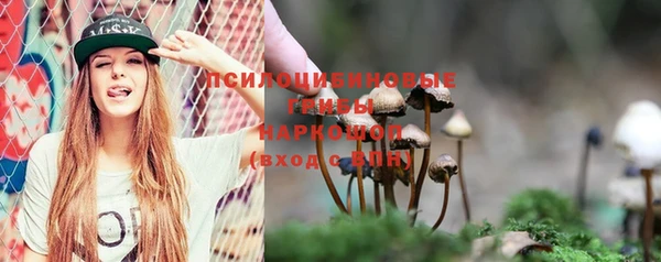 крисы Бугульма