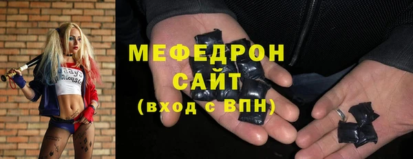 гидра Богородицк