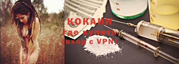 гидра Богородицк
