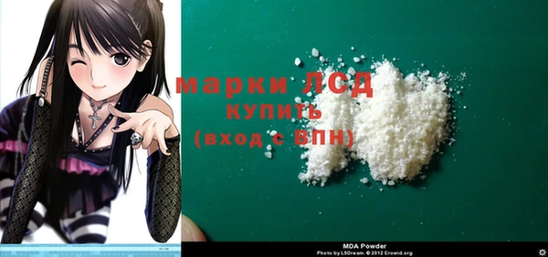 гидра Богородицк