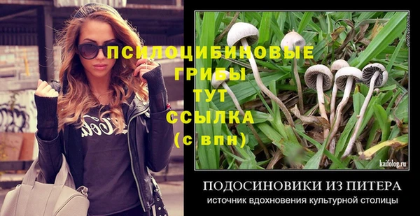 дурь Бронницы
