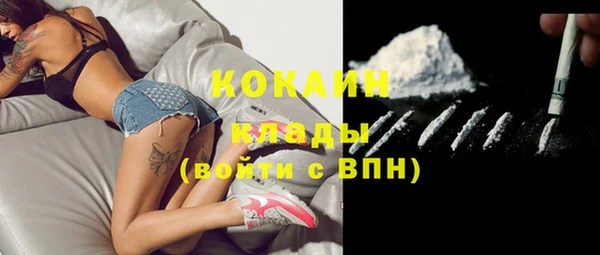 сатива Бородино