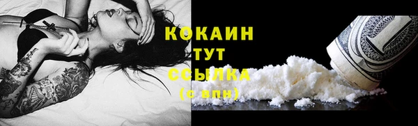 сатива Бородино