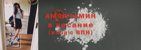 шишки Богородск