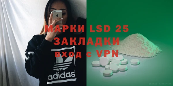 гидра Богородицк