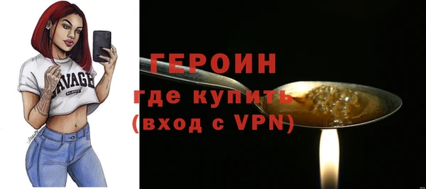 гидра Богородицк