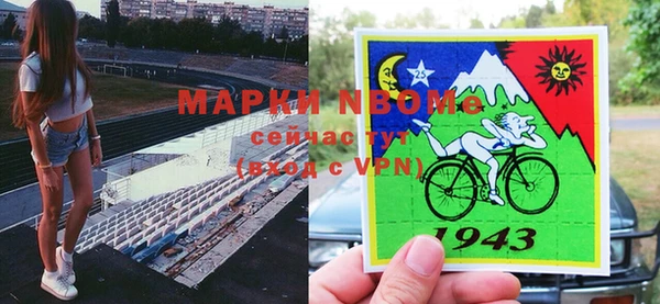 шишки Богородск