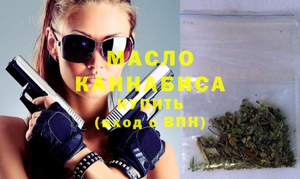 гидра Богородицк
