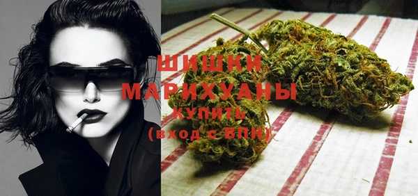 метадон Богданович