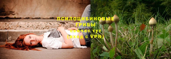 гидра Богородицк