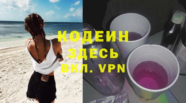 гидра Богородицк