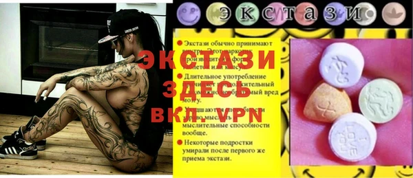 гидра Богородицк