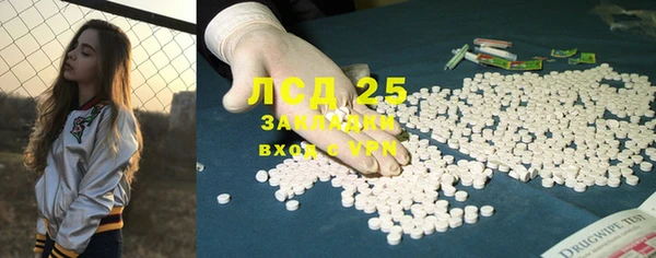 гидра Богородицк